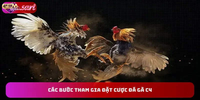 cac-buoc-tham-gia-dat-cuoc-da-ga-C4
