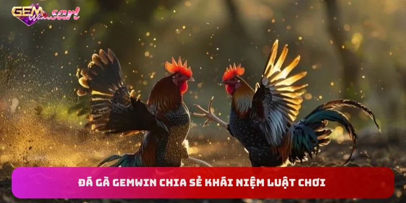 da-ga-gemwin-chia-se-khai-niem-luat-choi-ve-nhieu-loai-hinh