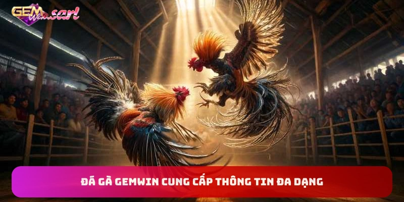 da-ga-gemwin-cung-cap-thong-tin-phong-phu-da-dang