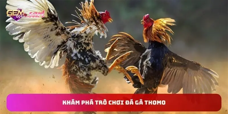 kham-pha-tro-choi-da-ga-thomo