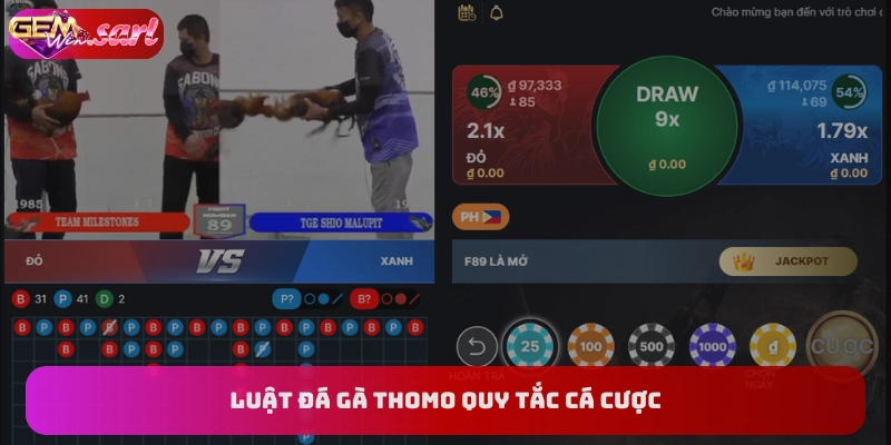 luat-da-ga-thomo-cac-quy-dinh-ca-cuoc