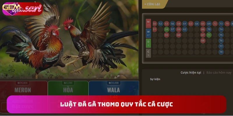 luat-da-ga-thomo-quy-dinh-ve-cac-cua-cuoc