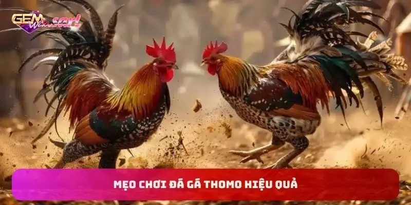 meo-choi-da-ga-thomo-hieu-qua