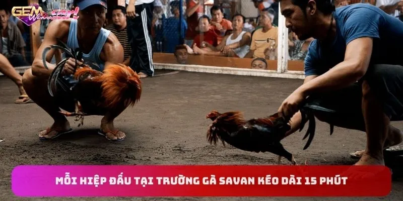 moi-hiep-dau-tai-truong-ga-savan-keo-dai-15-phut