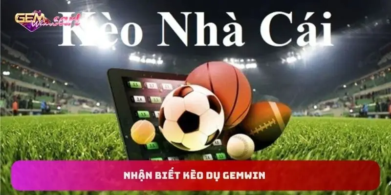 nhan-biet-keo-du-gemwin
