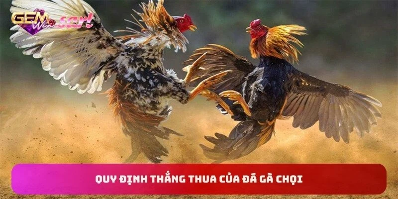 quy-dinh-thang-thua-cua-da-ga-choi