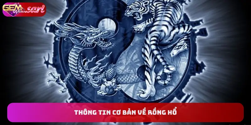 thong-tin-co-ban-ve-rong-ho