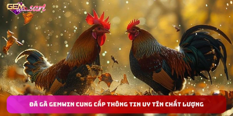 thong-tin-da-ga-gemwin-uy-tin-chat-luong