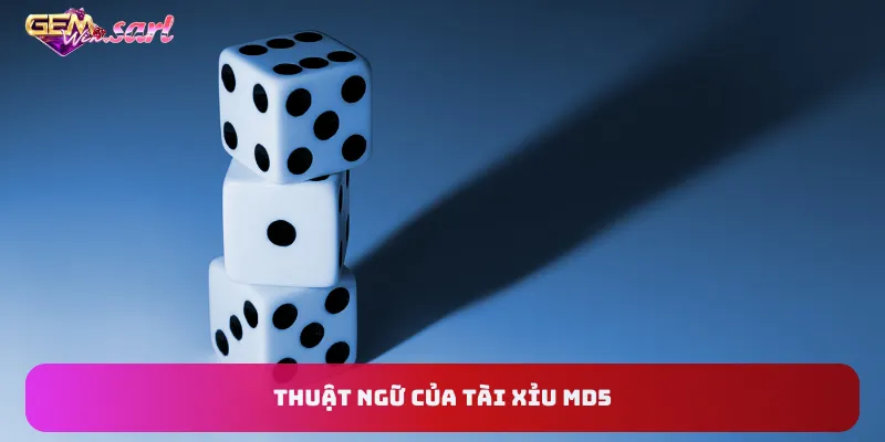 thuat-ngu-tai-xiu-md5