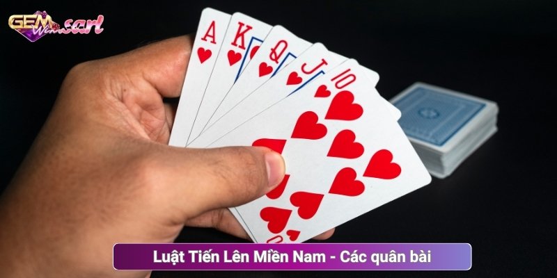 Luật Tiến Lên Miền Nam - Các quân bài